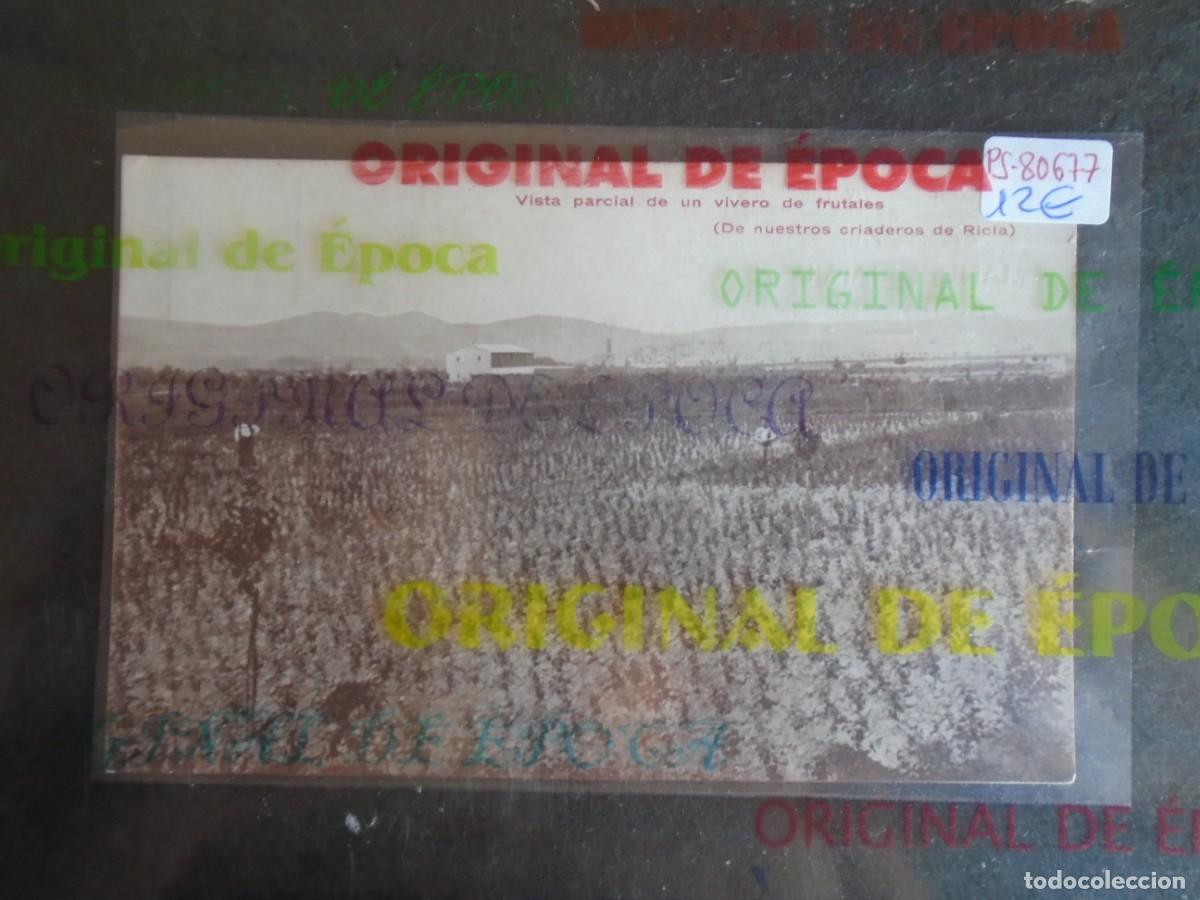 Postais: (PS-80677)POSTAL MANUEL SANJUAN DE SABI&Ntilde;AN(ZARAGOZA)-VIVEROS.CRIADEROS DE RECIA