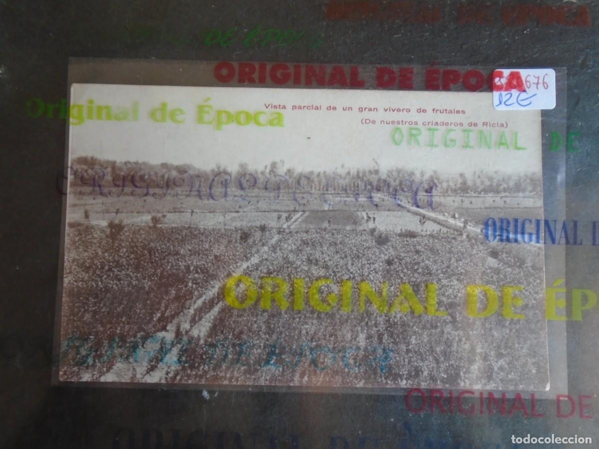 Postais: (PS-80676)POSTAL MANUEL SANJUAN DE SABI&Ntilde;AN(ZARAGOZA)-VIVEROS.CRIADEROS DE RECIA