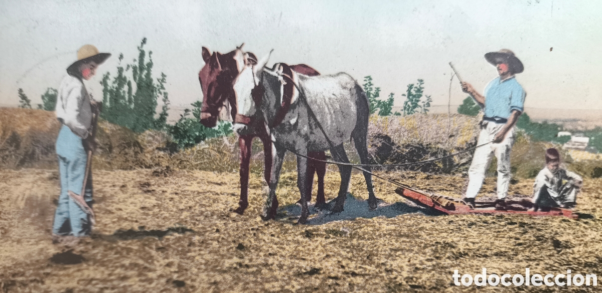 Postales: ARAGON LA TRILLA ESCENA RURAL POSTAL A COLOR CIRCULADA 1905