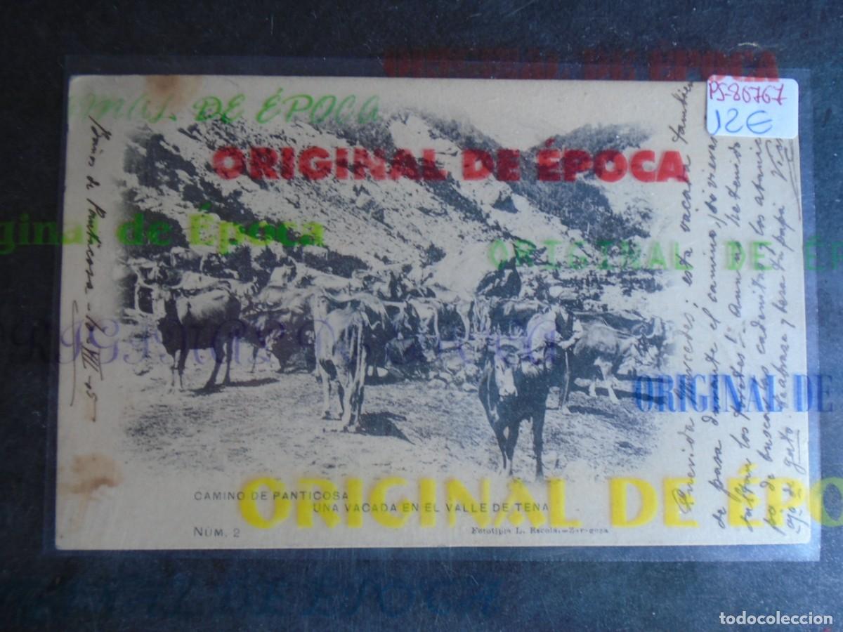 Postales: (PS-80767)POSTAL DE CAMINO DE PANTICOSA-UNA VACADA EN EL VALLE DE TENA.FOTOTIPIA L.ESCOLA