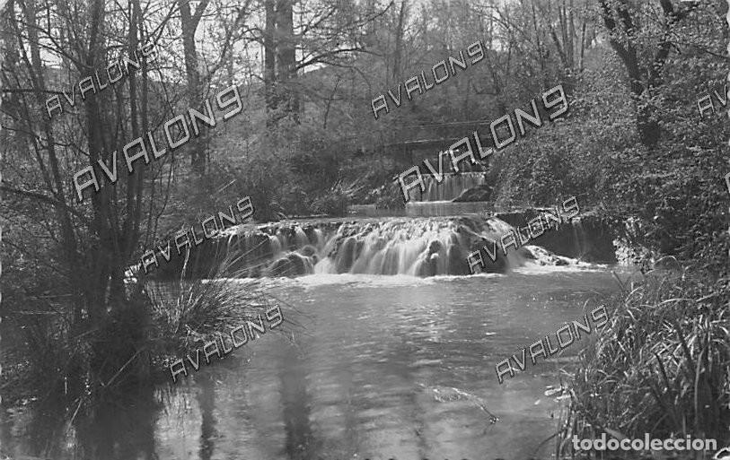 Postales: Parque de Pradilla - Monasterio de Piedra (Zaragoza) - Sin Circular - A&ntilde;os 50 - Bordes dentados