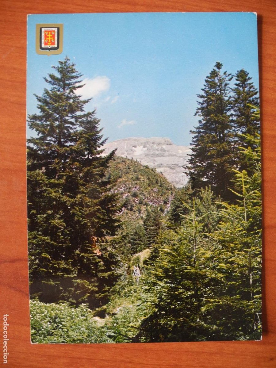 Postales: Arag&uuml;es del Puerto. Ed. Escudo de Oro n. 3196. Nueva
