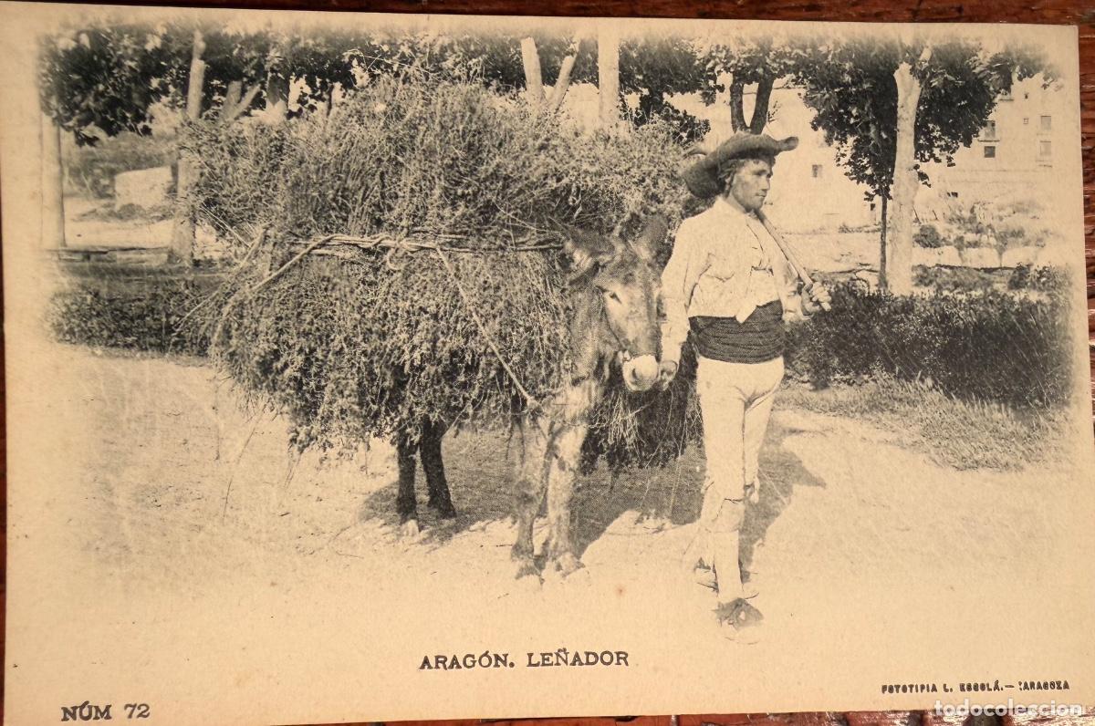 Cartes Postales: POSTAL ARAG&Oacute;N N&ordm;72 LE&Ntilde;ADOR