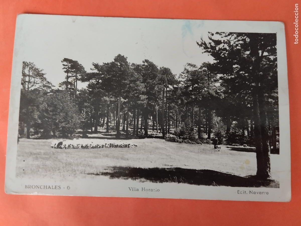 Postales: BRONCHALES - TERUEL - VILLA ROSARIO - ED. NAVARRO