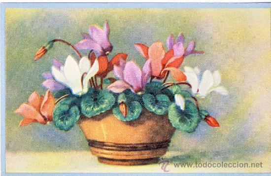 Postales: FLORERO (2) - Foto 1