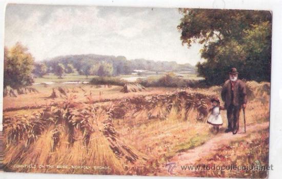 Postales: TARJETA POSTAL DE RAPHAEL TUCK & SONS. OILETTE. THE NORFOLK BROADS. SERIES V. POSTCARD 7172.