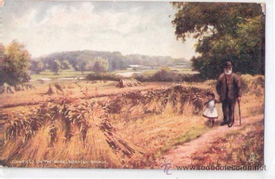 Postales: TARJETA POSTAL DE RAPHAEL TUCK & SONS. OILETTE. THE NORFOLK BROADS. SERIES V. POSTCARD 7172.