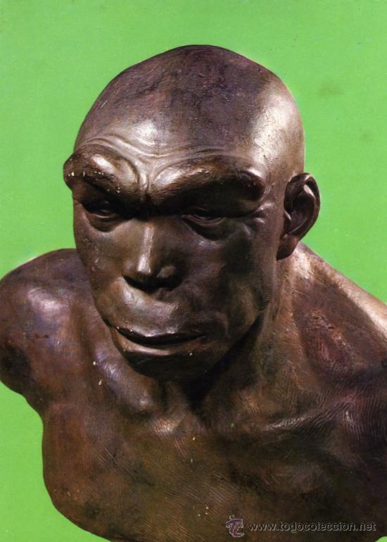 Cartoline: ARTE PREHIST&Oacute;RICO N&ordm; 1 HOMBRE DE NEANDERTHAL COLECCI&Oacute;N PERLA NUEVA SIN CIRCULAR