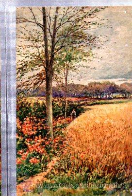 Postais: TARJETA POSTAL RAPHAEL TUCK Y SONS, OILETTE,  N&ordm; 8955, PICTURESQUE DEVON