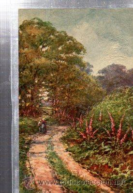Postais: TARJETA POSTAL RAPHAEL TUCK Y SONS, OILETTE,  N&ordm; 8955, PICTURESQUE DEVON
