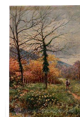 Postais: TARJETA POSTAL RAPHAEL TUCK Y SONS, OILETTE,  N&ordm; 8955, PICTURESQUE DEVON