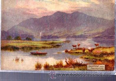 Postais: TARJETA POSTAL RAPHAEL TUCK Y SONS, OILETTE,  N&ordm; 7324, DERWENTWATER