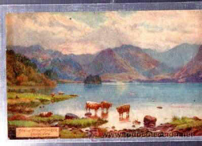 Cartoline: TARJETA POSTAL RAPHAEL TUCK Y SONS, OILETTE,  N&ordm; 7324, DERWENTWATER