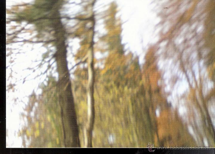Postales: Petra Soder. Der Herbstfr&uuml;hling.  Oto&ntilde;o primavera. 2013. Suiza. - Foto 1