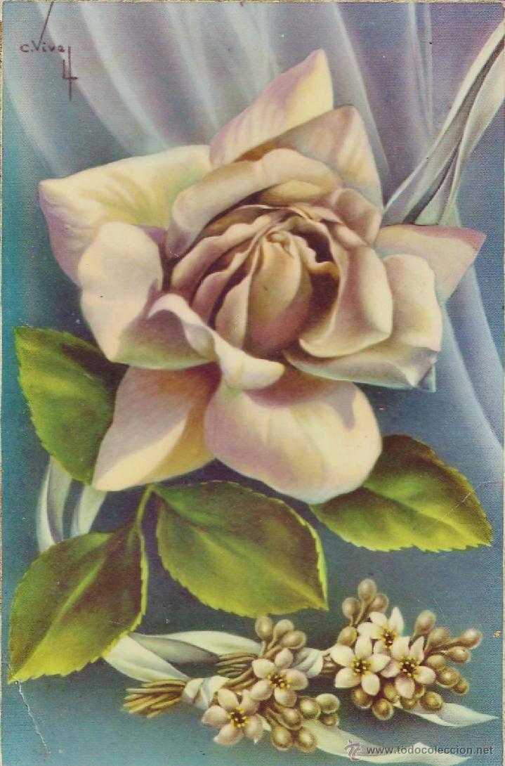 Postales: postal - pintura flores - n&ordm; 511 - ed. cyz - il. c. vive - nueva - a&ntilde;os 50