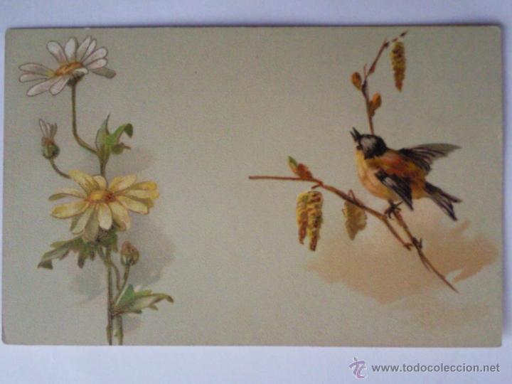Postales: POSTAL, PAJARO Y FLORES - Foto 1