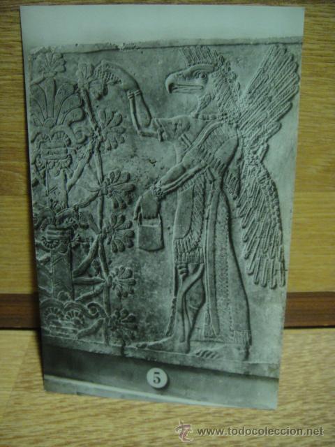 escultura asiria - dios con cabeza de aguila - Buy Antique postcards of art  on todocoleccion