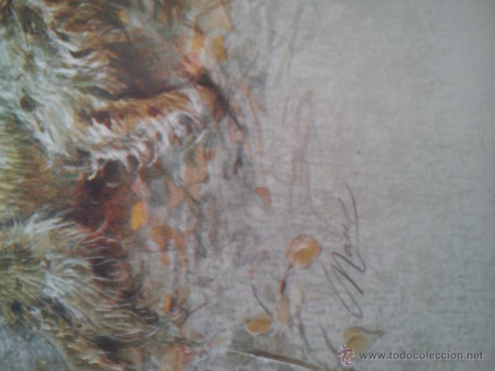 Postales: Postal Perros ilustra Graus - Foto 2