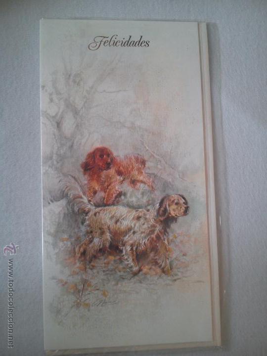 Postales: Postal Perros ilustra Graus - Foto 1