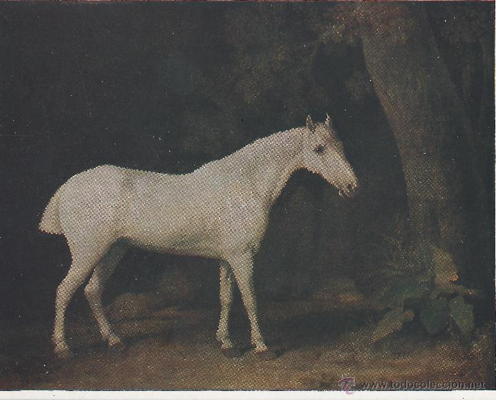Postales: TATE GALLERY GEORGE STUBBS HORSE IN THE SHADE OF A WOOD