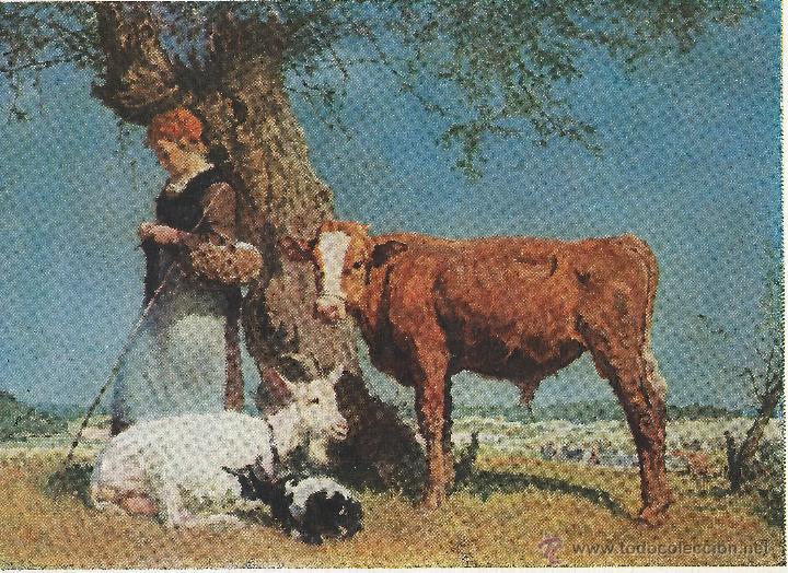 Postales: POSTAL - BRUCKMANNS BILDKARTE - Foto 1