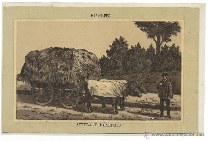 Postales: BIARRITZ .- ATTELAGE BEARNAIS - Foto 1
