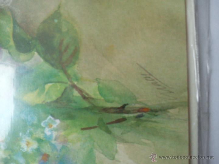 Postales: Postal Flores Busquets (1) ilustra Graus - Foto 2