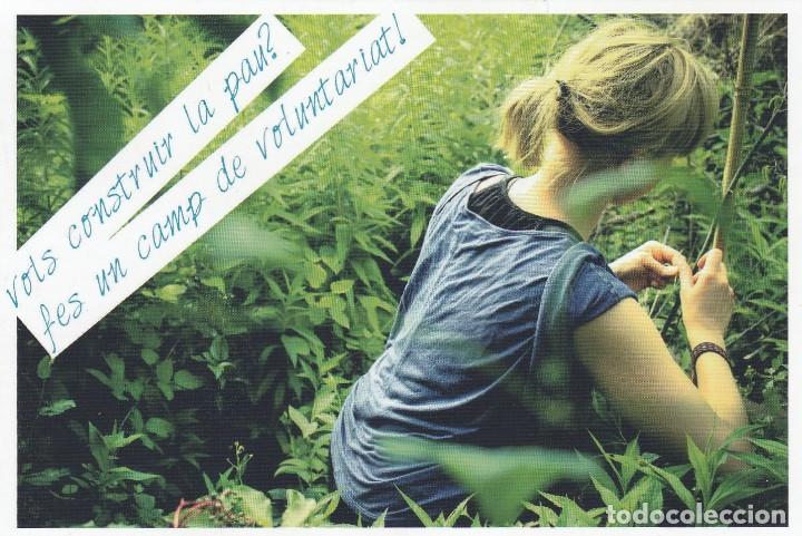 Postales: SCI - SERVEI CIVIL INTERNACIONAL CATALUNYA - CAMP DE VOLUNTARIAT - REVERSO IMPRESO - VER FOTO