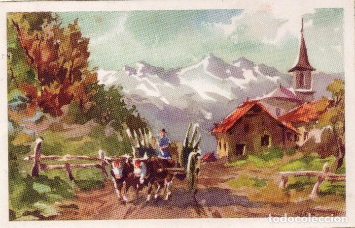 Postales: POSTAL - ESCRITA - CYZ SERIE 535/A - ILUSTRADOR ASER