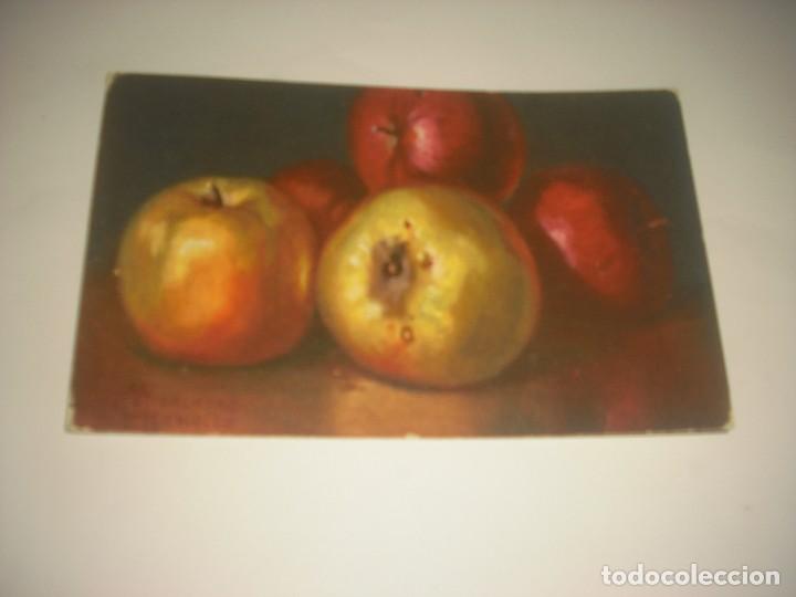 Postales: MARCELO GIACHINO . MELE RENETTE E CALVILLA, SIN CIRCULAR - Foto 1