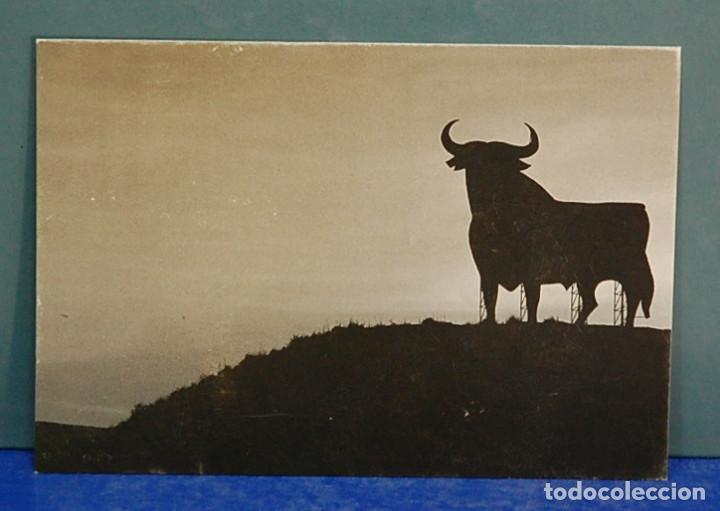 Postales: Postal El Toro, Javier Andrada, 16x11 cm - Foto 1