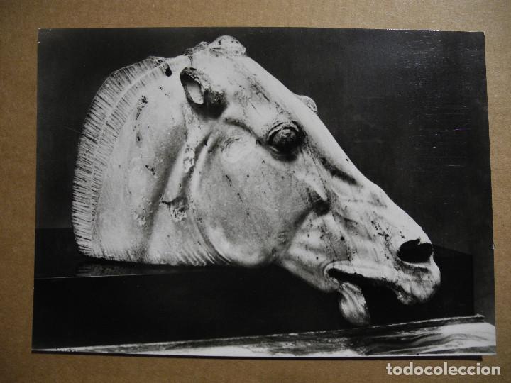 Postkarten: Caballo de Selene. Partenon. The British Museum. Nueva