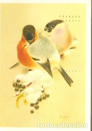 Postais: Austria & Gimpel Paar por Hans Lang,  Innsbruck, Exeter to Dawlish 1973 (8678)