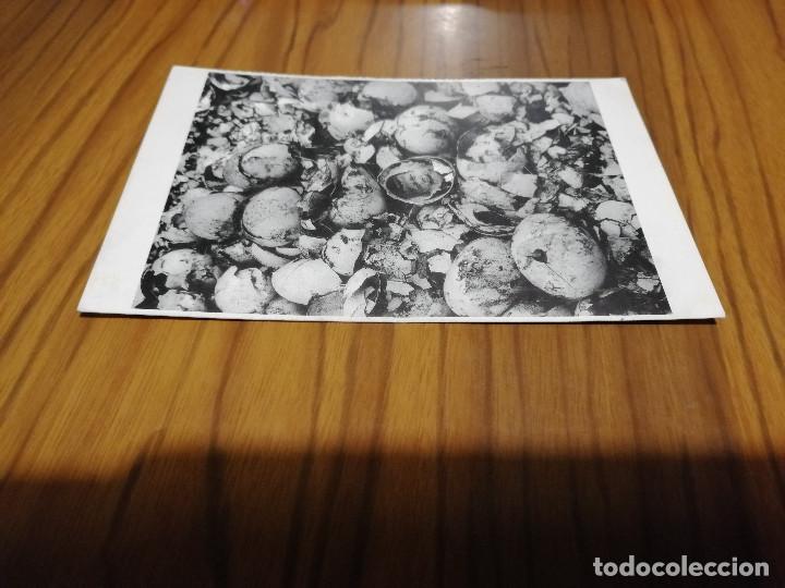 Postcards: POSTAL HISTORIAS DE HUEVOS. CENTRO ANDALUZ DE LA FOTOGRAF&Iacute;A. SIN USO. BUEN ESTADO. RARO