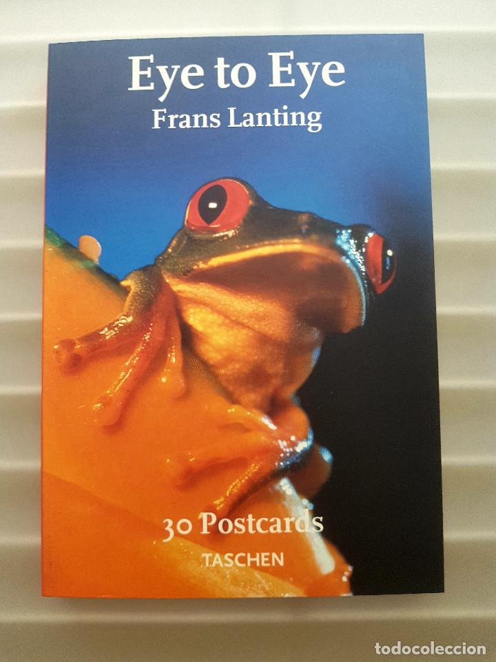 Postales: EYE TO EYE NATURALEZA LIBRO TASCHEN 30 POSTALES NATIONAL GEOGRAPHIC FOTOGRAFIA