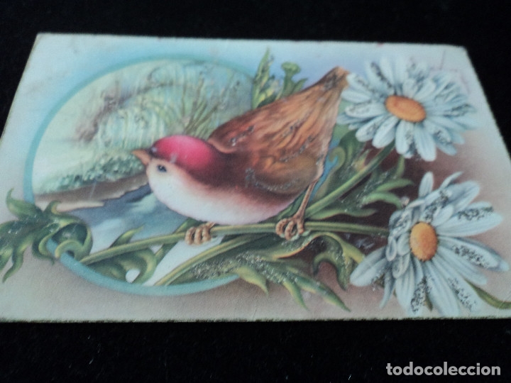 Postkarten: TARJETA POSTAL ILUSTRADA - PAJARO - SERIE CYZ 501/A c. vives circulada 1953