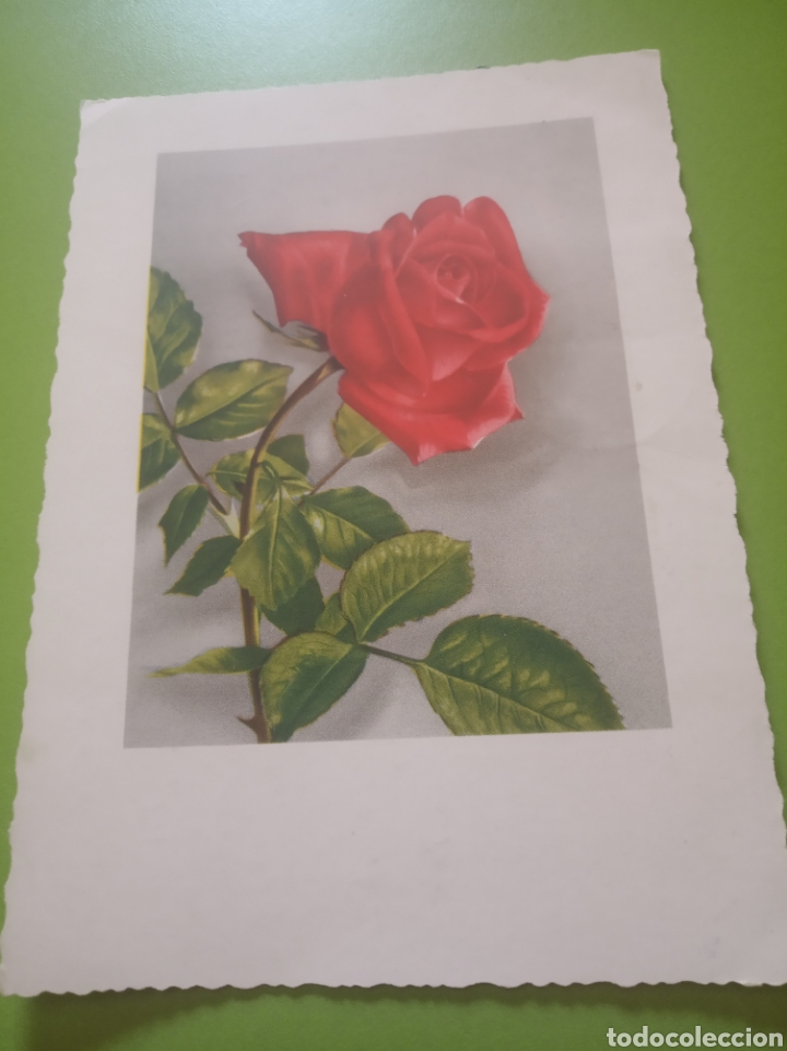 Postales: Postal flores - Foto 1