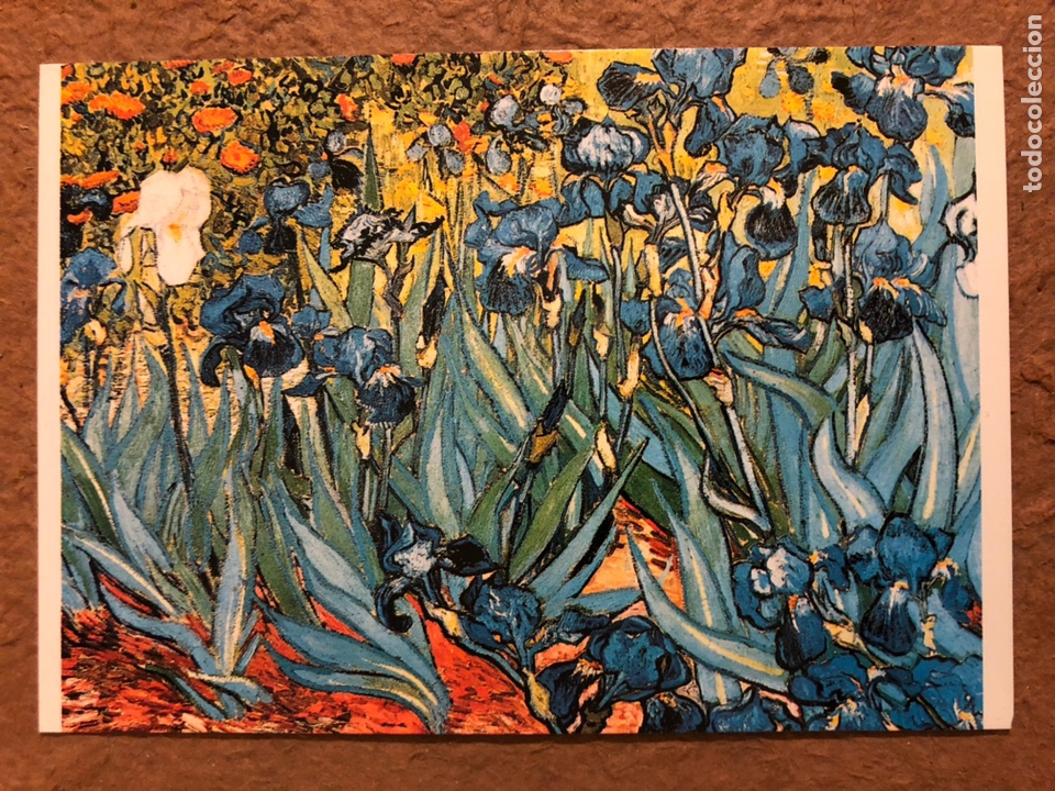 Postcards: VINCENT VAN GOGH &ldquo;IRIS, 1889&rdquo;. POSTAL SIN CIRCULAR BY ARTI GRAFICHE RICORDI.
