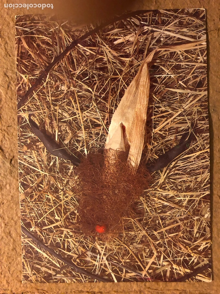 Cartoline: L. OTAEGUI &ldquo;AKUILU II&rdquo;. POSTAL SIN CIRCULAR EDITADA POR XARIBARI EN LOS A&Ntilde;OS 80.
