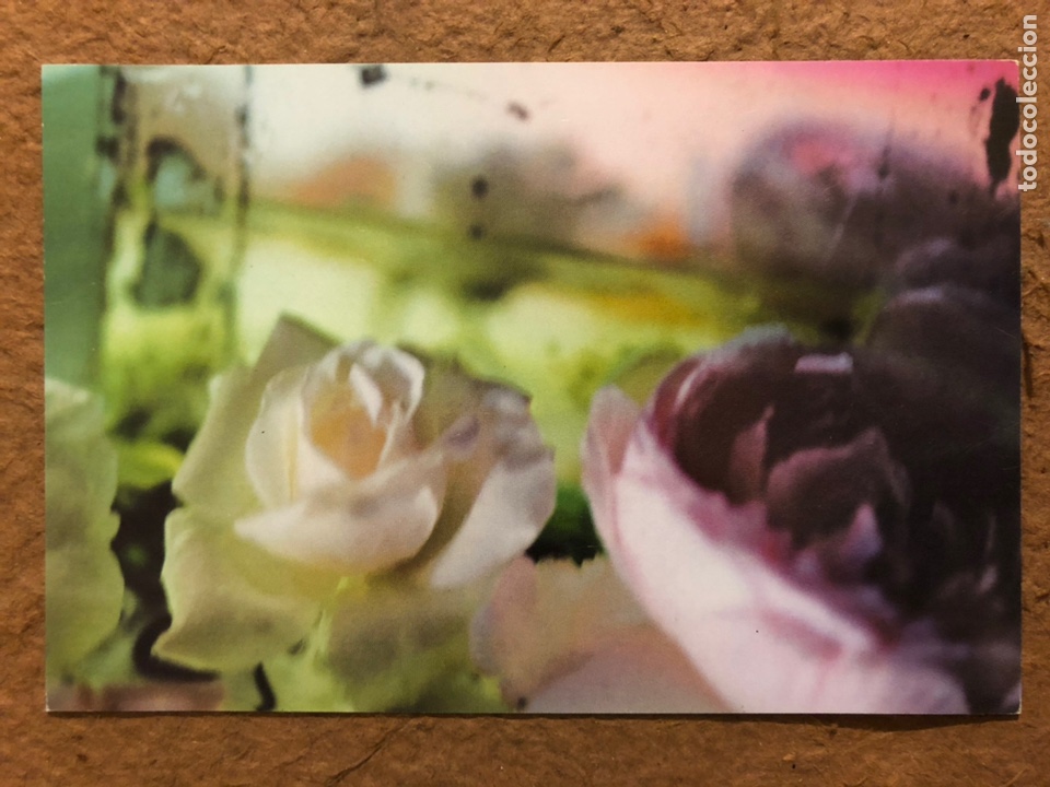 Postcards: ERALDO TALIANO &ldquo;ROSE DEL M&Iacute;O GIARDINO&rdquo;. POSTAL SIN CIRCULAR EXPOSICI&Oacute;N FOTOGR&Aacute;FICA (2003