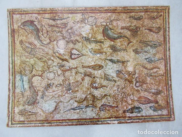 Postales: Museo Arqueol&oacute;gico - Tarragona - Postal S/C - Foto 1