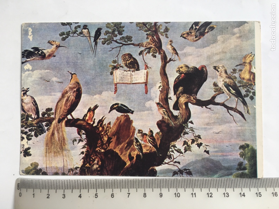 Postales: SNYDERS. CONCIERTO DE AVES. MUSEO DEL PRADO. EDICIONES DE ARTE OFFO.