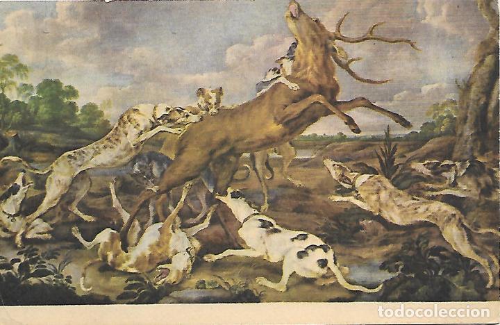 Postales: MUSEO DEL PRADO (PABLO VOS-Ciervo acosado por la jaur&iacute;a)