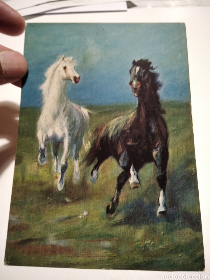 Postal arte caballos