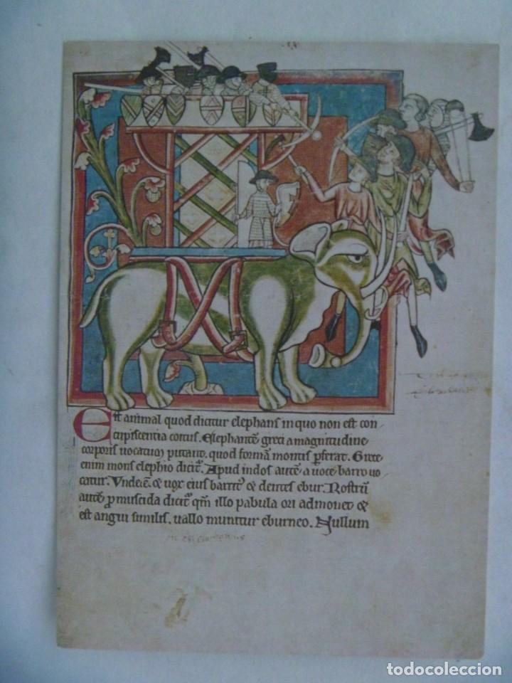 Postales: POSTAL CON PINTURA DE BESTIARIO. THE BRITISH LIBRARY , 1976