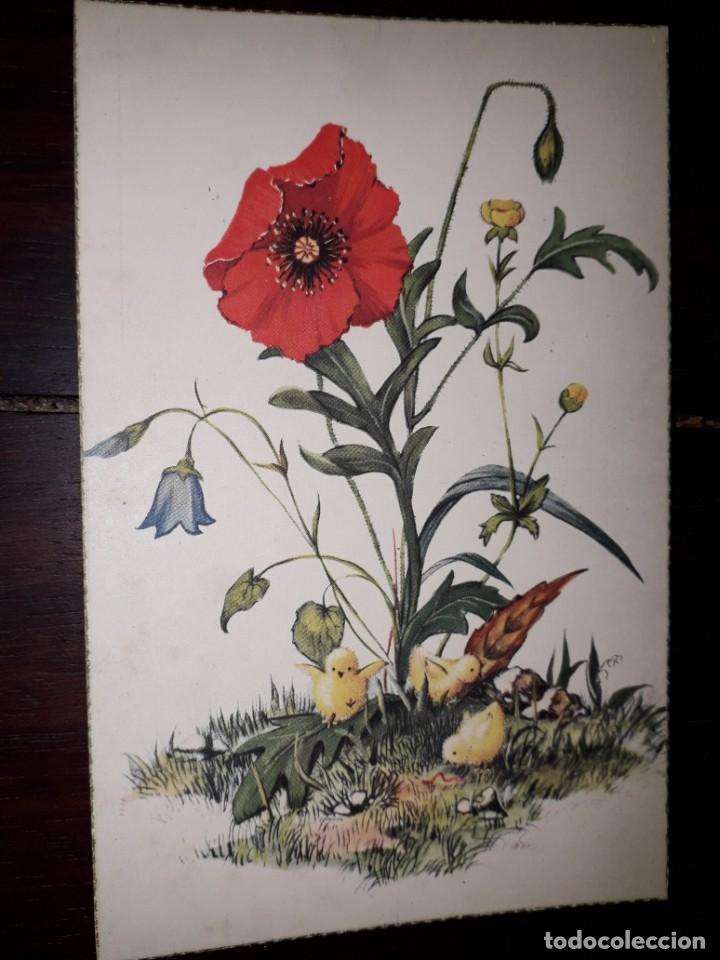 Postais: N&ordm; 3253 POSTAL CUADRO FLORES 2037 ANCLA