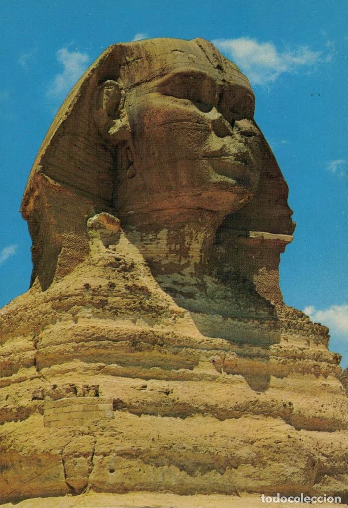 Postales: Giza. Cabeza de la Gran Esfinge. Egipto. / Postal sin circular - Foto 1