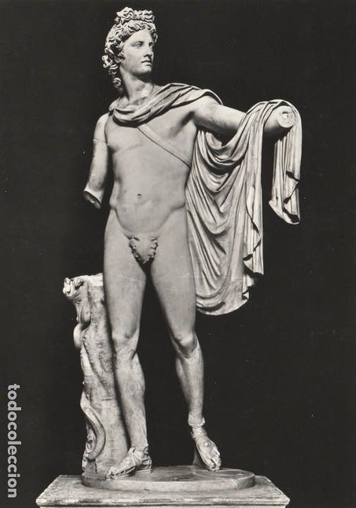 Postales: postal - apolo del belvedere - anonimo - museo de la escultura vaticano -14630 ed vera italia nueva