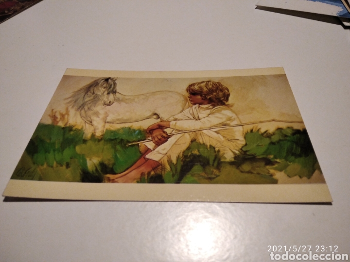 Postales: Fernando Calderon, ni&ntilde;o y caballo - Foto 1