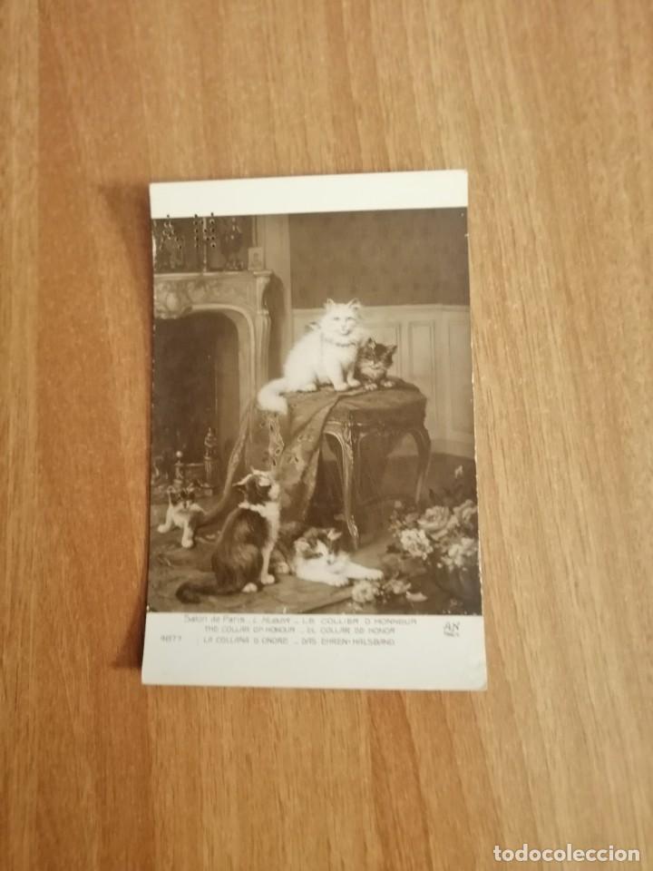 Cartes Postales: POSTAL SALON PARIS EL COLAR DE HONOR SIN CIRCULAR